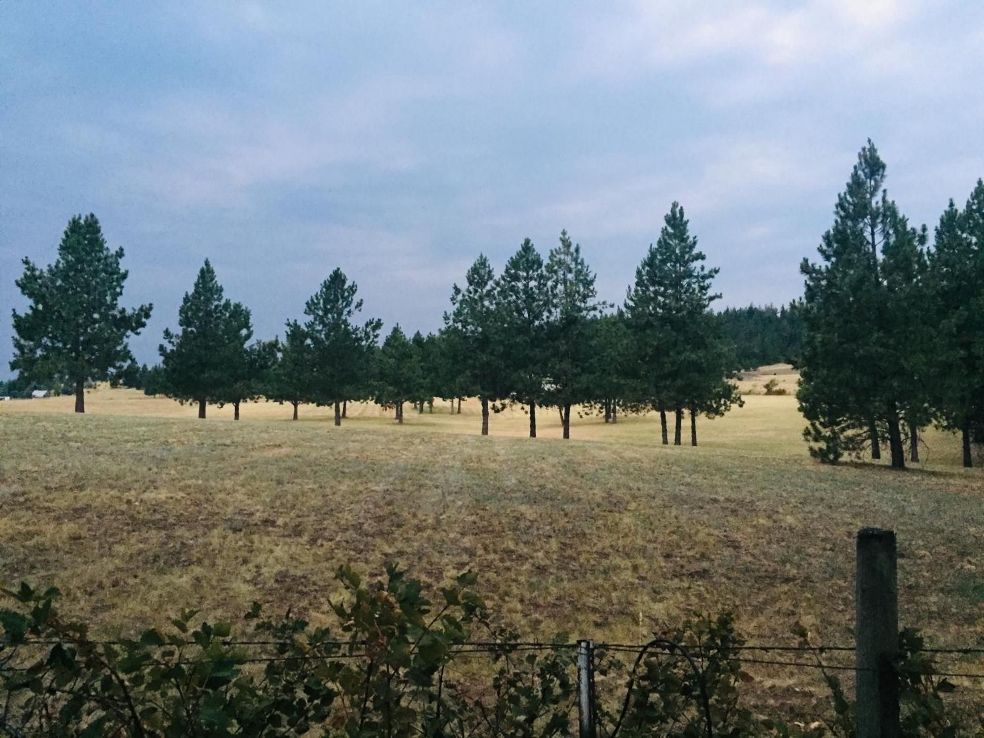 The Silverwood Lodge Athol 외부 사진